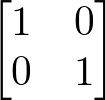 Matriz identidade