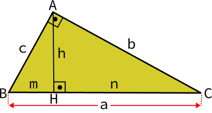 Triângulo Retângulo: Fórmula da Área - Matemática Básica